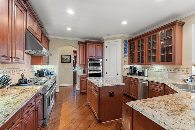 407 Bella Montagna Cir, Austin, TX 78734 - kitchen with under cabinet range hood, appliances with stainless steel finishes, arched walkways, dark wood-type flooring, and crown molding