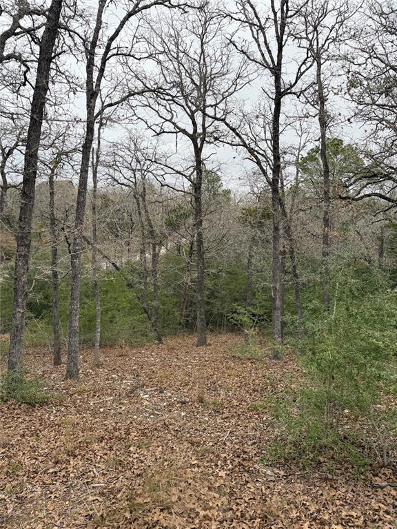 000 Wailupe Cir, Bastrop, TX 78602