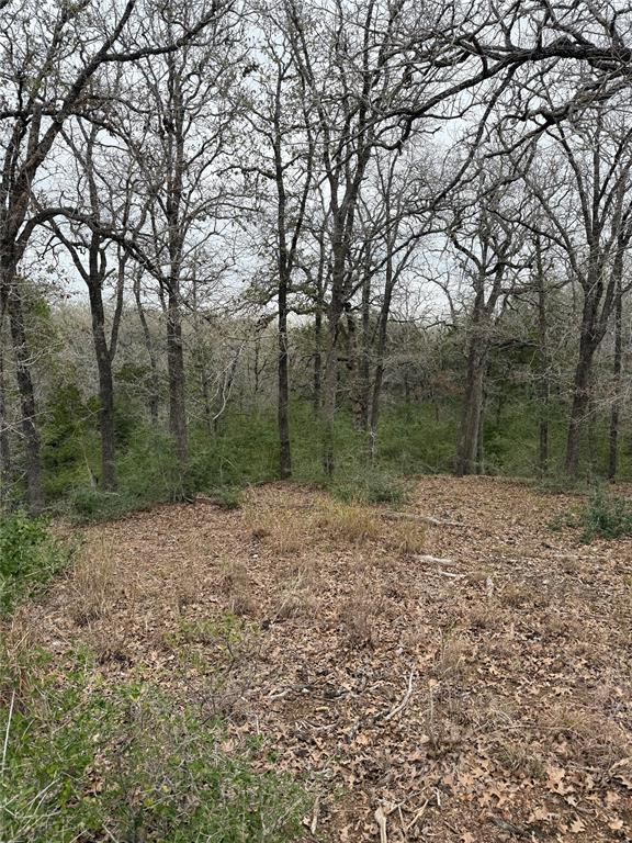 000 Wailupe Cir, Bastrop, TX 78602