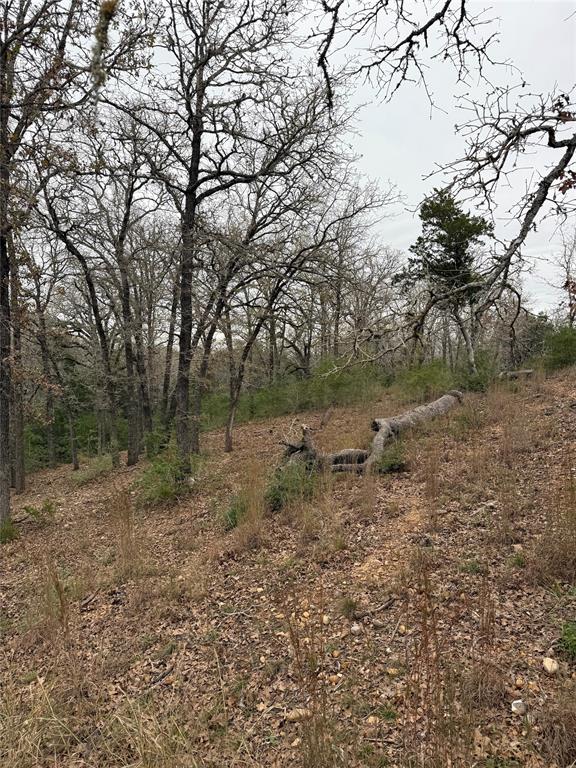 000 Wailupe Cir, Bastrop, TX 78602