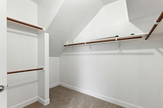221 Mcgarity St, Kyle, TX 78640 - spacious closet with carpet and vaulted ceiling