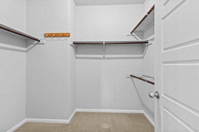 1913 Gabrielles Way, Manchaca, TX 78652 - walk in closet with carpet floors