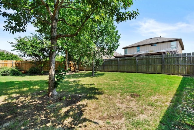 1913 Gabrielles Way, Manchaca, TX 78652 - view of yard