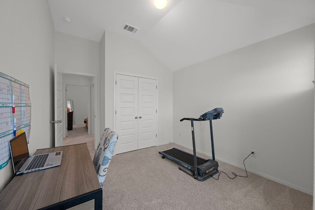 311 Spiny Lizard Ln, San Marcos, TX 78666 - unfurnished office with lofted ceiling, carpet, and baseboards