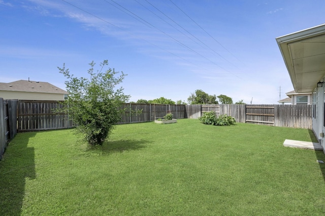 311 Spiny Lizard Ln, San Marcos, TX 78666 - view of yard