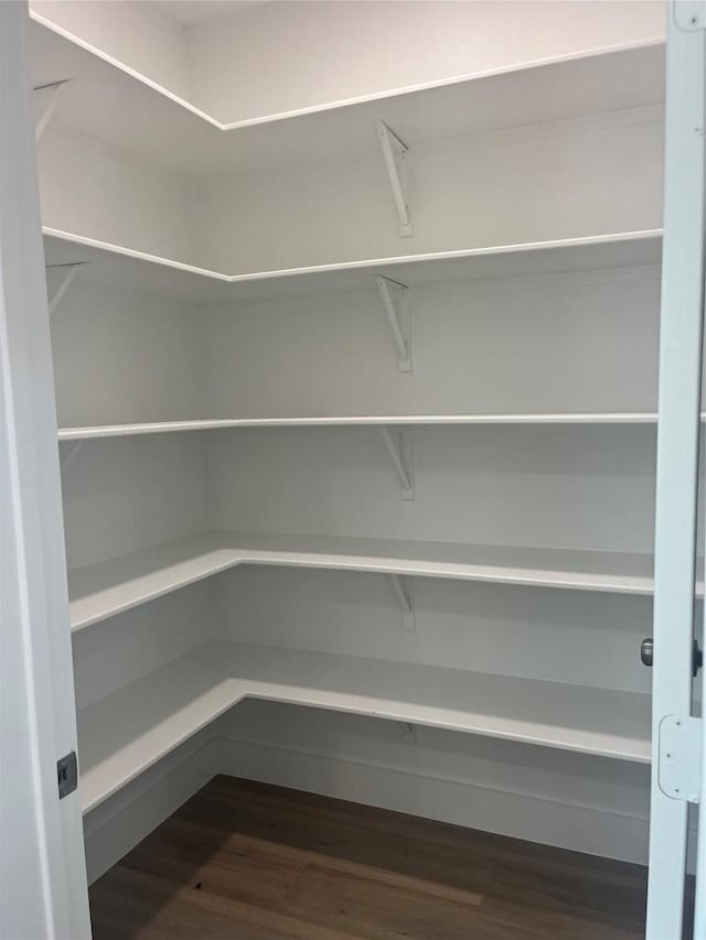 401 E Carrie St, Manor, TX 78653 - view of pantry