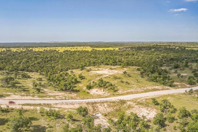 420 Canyons Dr Lot 76, Fredericksburg, TX 78624 - photo 13