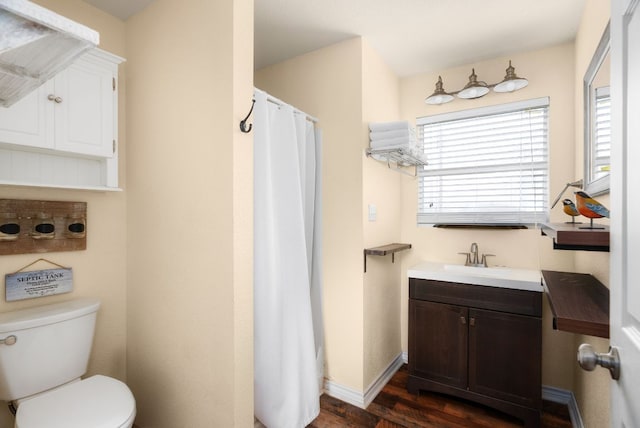 235 El Camino River Rd, Bastrop, TX 78602 - bathroom featuring wood finished floors, vanity, and curtained shower