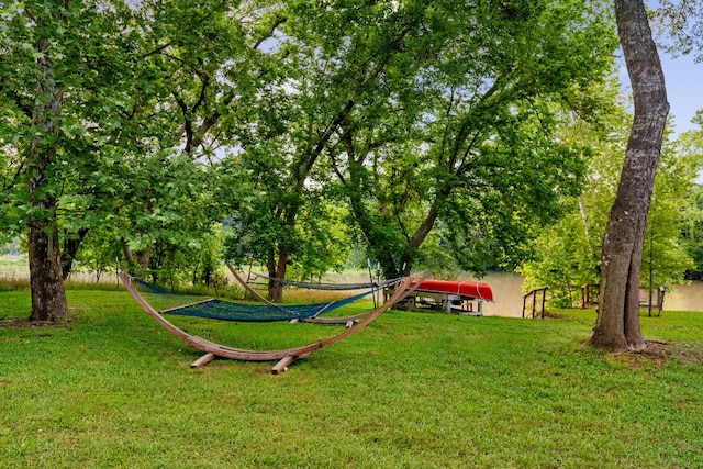 235 El Camino River Rd, Bastrop, TX 78602 - view of green lawn