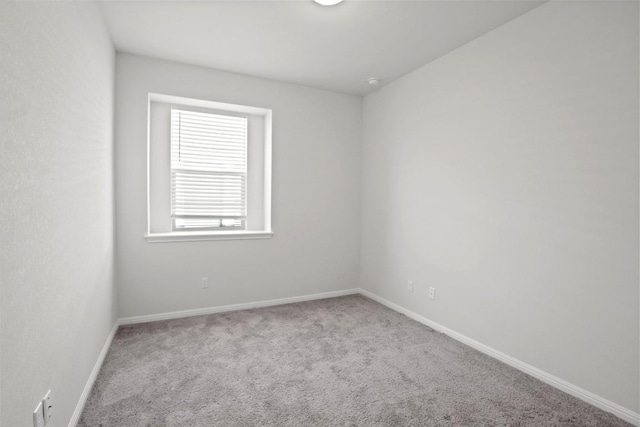 117 Falkland St, Hutto, TX 78634 - photo 7