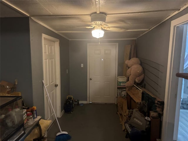 142 N Kowald Ln, New Braunfels, TX 78130 - entryway with ceiling fan