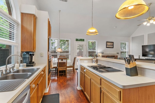 16803 Black Kettle Dr, Leander, TX 78641 - kitchen with stainless steel appliances, vaulted ceiling, dark wood finished floors, healthy amount of natural light, and ceiling fan