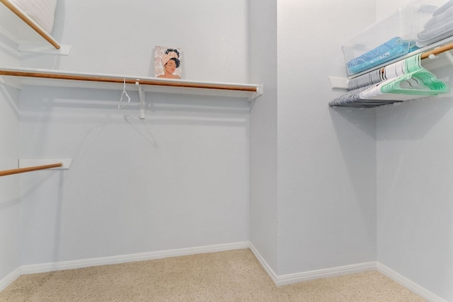 16803 Black Kettle Dr, Leander, TX 78641 - view of walk in closet
