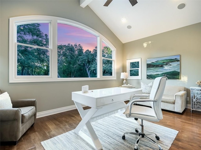 14753 Arrowhead Dr, Austin, TX 78641 - office featuring wood finished floors, baseboards, and ceiling fan