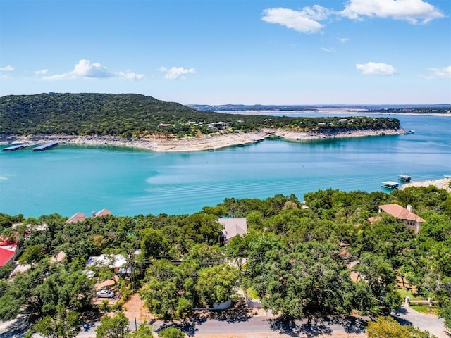 14753 Arrowhead Dr, Austin, TX 78641 - aerial view of a large body of water