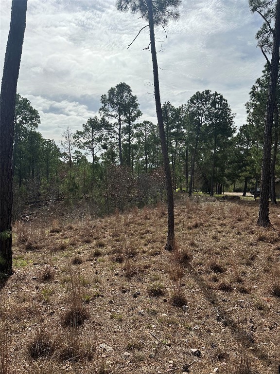 TBD Mahalo Court, Bastrop, TX 78602