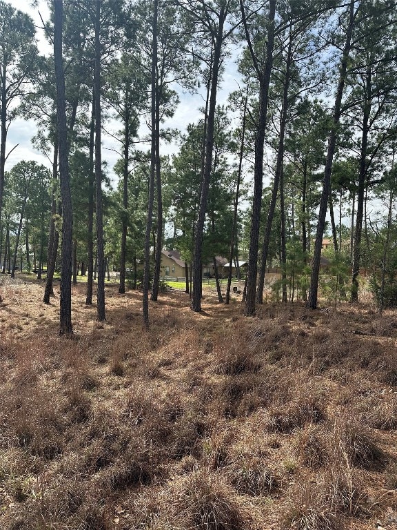TBD Mahalo Court, Bastrop, TX 78602