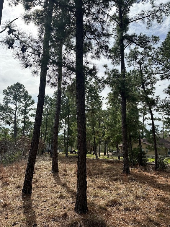 TBD Mahalo Court, Bastrop, TX 78602