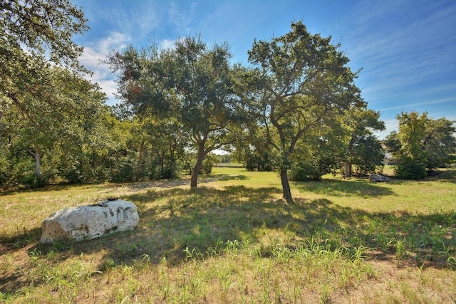 8328 Alophia Dr, Austin, TX 78739 - view of yard