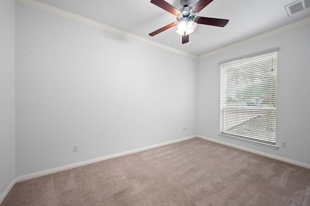 8328 Alophia Dr, Austin, TX 78739 - photo 7