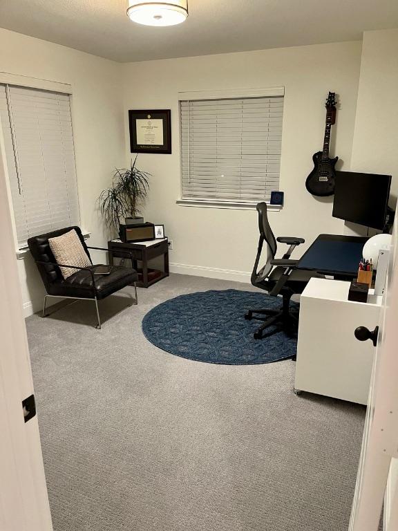 14217 Silver Lace Ln, Pflugerville, TX 78660 - office space with carpet floors and baseboards