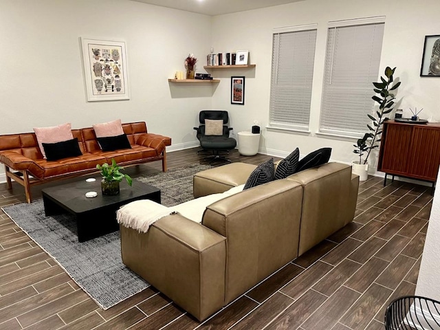 14217 Silver Lace Ln, Pflugerville, TX 78660 - living room with wood finish floors and baseboards