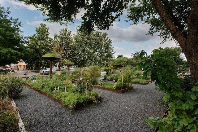 2401 E 6th St Unit 80, Austin, TX 78702 - view of property's community featuring a garden