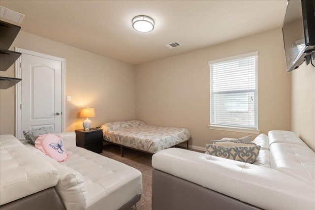 1366 Red Stag Pl, Round Rock, TX 78665 - view of carpeted bedroom