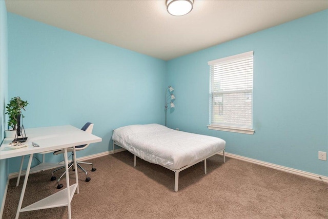 1366 Red Stag Pl, Round Rock, TX 78665 - bedroom featuring carpet floors