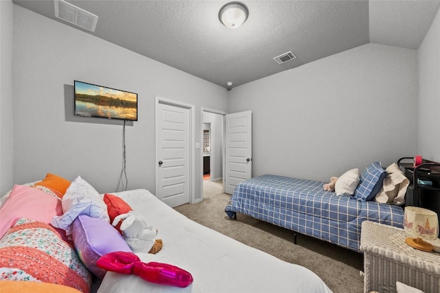 12705 Twisted Root Dr, Manchaca, TX 78652 - carpeted bedroom featuring lofted ceiling and a textured ceiling