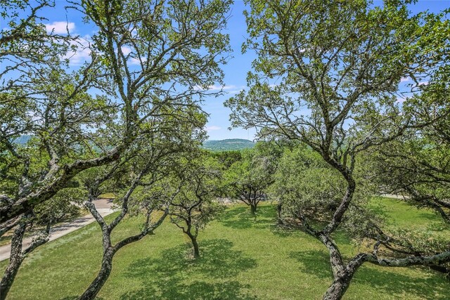 264 Hill Country Trl, Wimberley, TX 78676 - photo 24