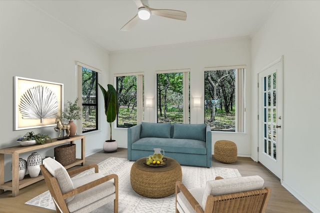 264 Hill Country Trl, Wimberley, TX 78676 - photo 11