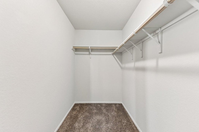 133 Nathaniel Dr, Taylor, TX 76574 - walk in closet with carpet floors