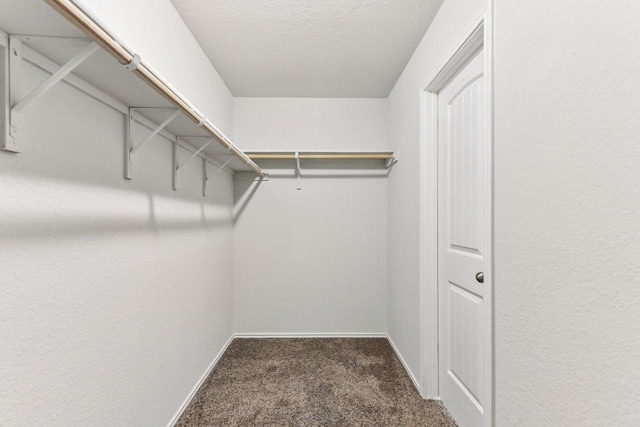 133 Nathaniel Dr, Taylor, TX 76574 - spacious closet with carpet floors
