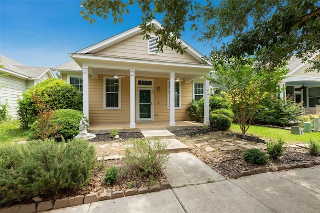 307 Rachel St, San Marcos, TX 78666 - photo 1