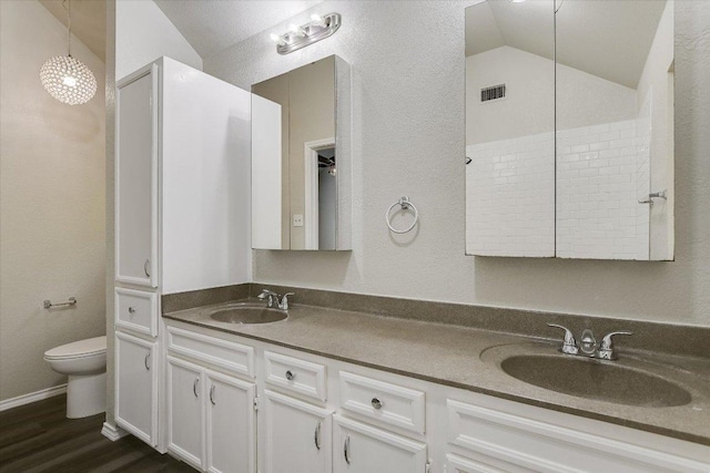 501 Maple Run, Round Rock, TX 78664 - bathroom featuring double vanity, toilet, wood finished floors, vaulted ceiling, and a textured wall