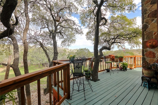 601 Echo Dr, Spicewood, TX 78669 - photo 28