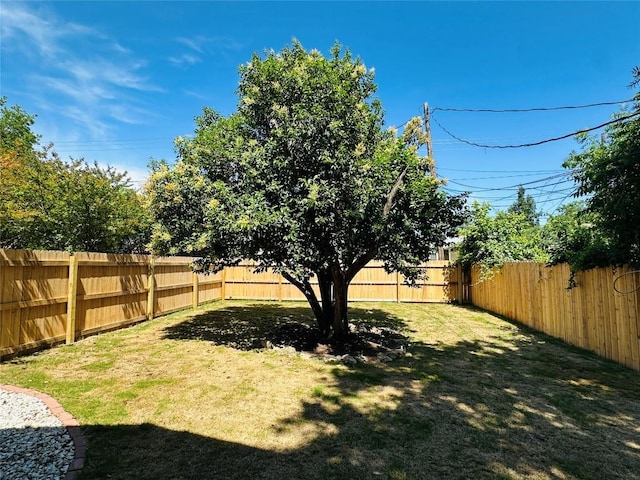 5504 Montview St, Austin, TX 78756 - view of fenced backyard