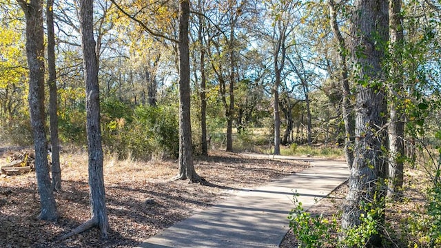 165 Plumbago Loop, Bastrop, TX 78602 - photo 18