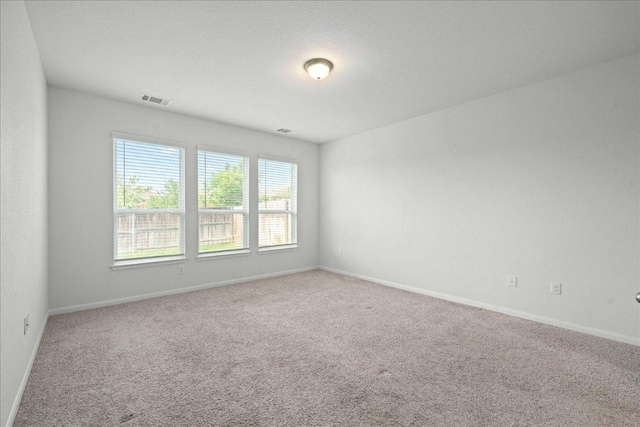 423 Leadtree Loop, Buda, TX 78610 - carpeted empty room with baseboards