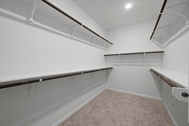 423 Leadtree Loop, Buda, TX 78610 - walk in closet featuring carpet
