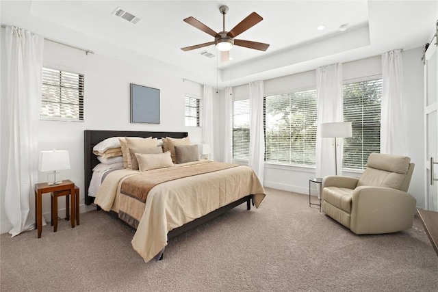 208 Honey Creek Ct Unit 29, Austin, TX 78738 - bedroom with a tray ceiling, light colored carpet, and a ceiling fan