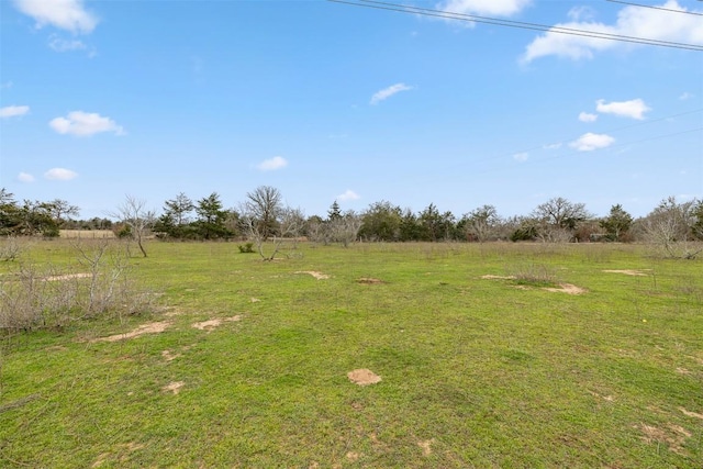 533L7 Grassyville Rd, Paige, TX 78659 - photo 2