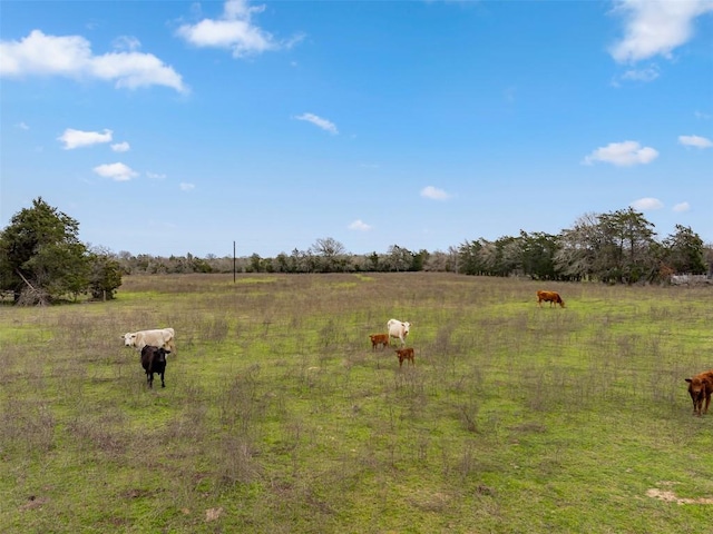 533L7 Grassyville Rd, Paige, TX 78659 - photo 5