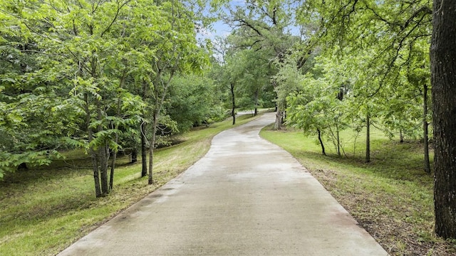 3205 River Place Dr Unit B, Belton, TX 76513 - surrounding community with concrete driveway