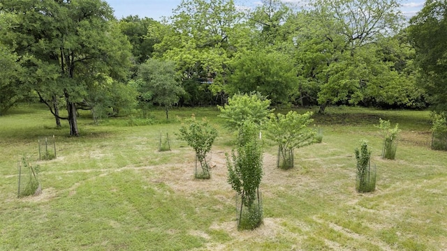 3205 River Place Dr Unit B, Belton, TX 76513 - view of yard