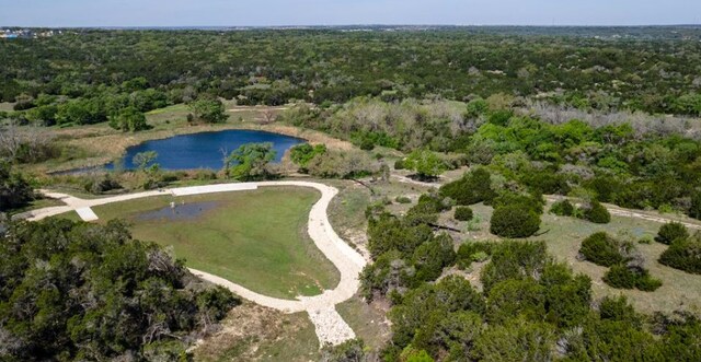 1001 Thunderhead Trl, Georgetown, TX 78628 - aerial view of property and surrounding area with a nearby body of water and a heavily wooded area