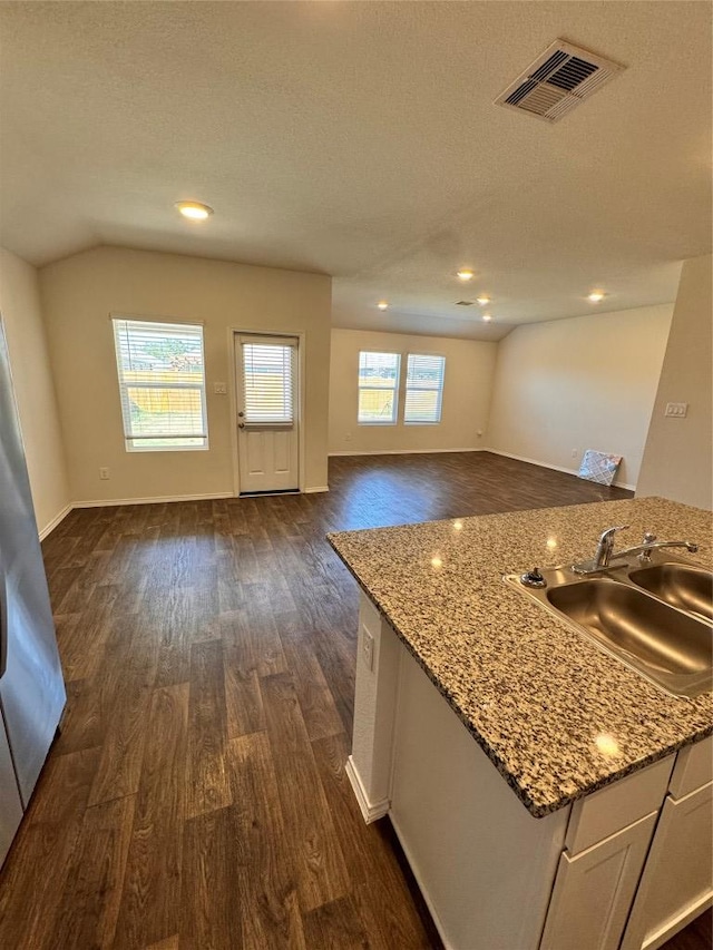 322 Harvest Creek Dr, Kyle, TX 78640 - kitchen with a sink, open floor plan, dark wood-style flooring, light stone counters, and a textured ceiling