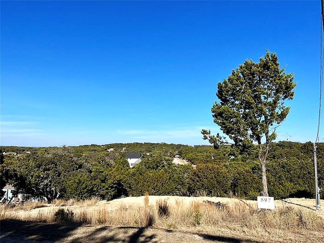 897 Deer Run Pass, Canyon Lake, TX 78133