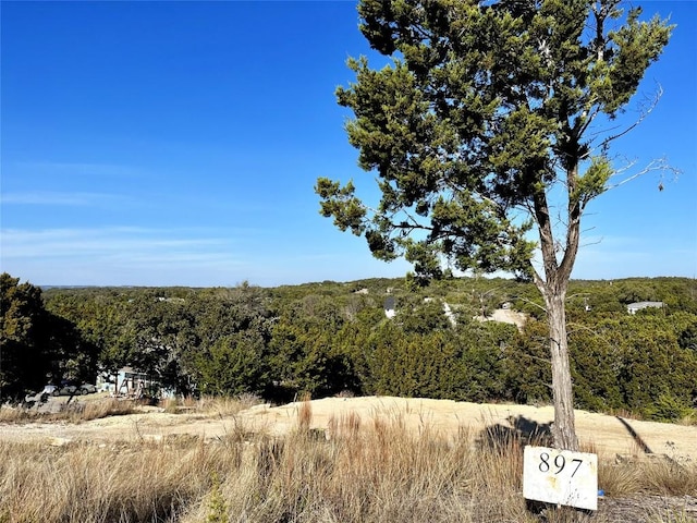 897 Deer Run Pass, Canyon Lake, TX 78133